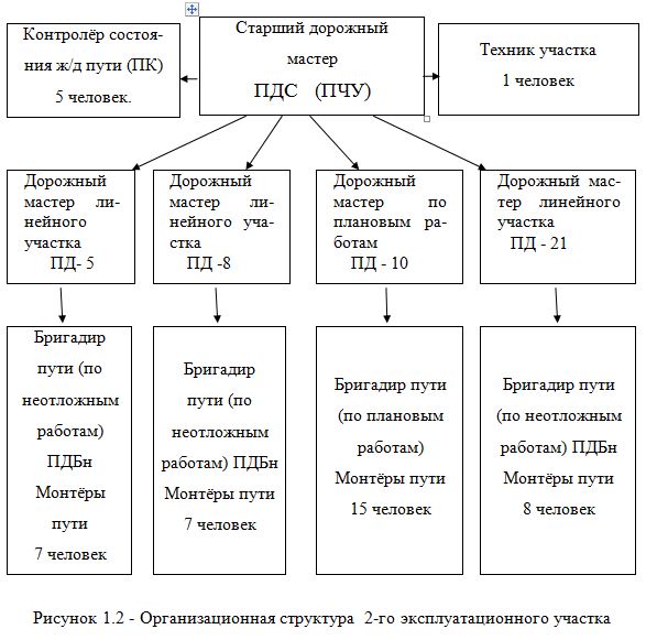 Дипломная работа: Подготовка колодок к запуску и прикреплению стелек